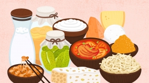 Why Probiotics Are Necessary Why Probiotics Are Necessary